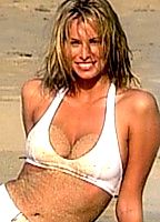 Celebrity: Niki Taylor