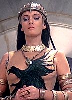 Celebrity: Sarah Douglas