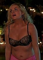 Celebrity: Amy Poehler