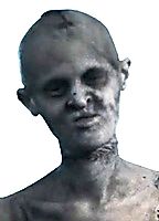 Celebrity: Melanie Gaydos