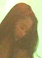 Celebrity: Hoang Nghi Nguen