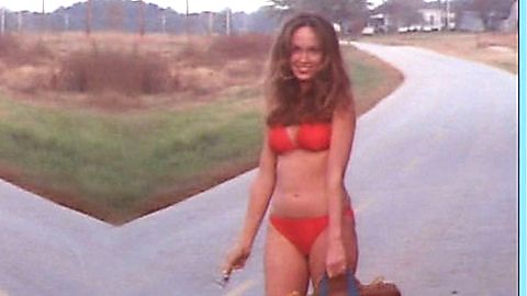 Pic: Catherine Bach in The Dukes of Hazzard (1979)