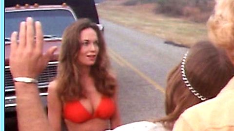 Pic: Catherine Bach in The Dukes of Hazzard (1979)