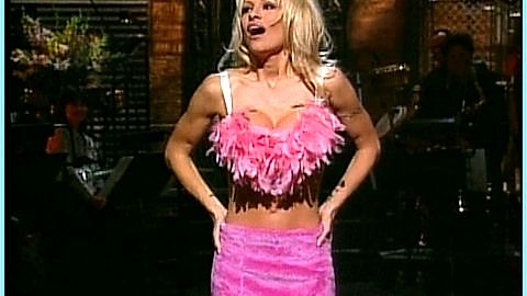 Pic: Pamela Anderson in Comedy Central Roast of Pam Anderson