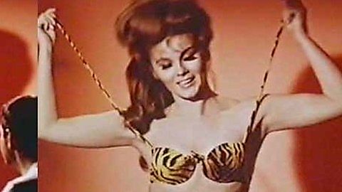 Pic: Ann-Margret  in The Swinger (1966)