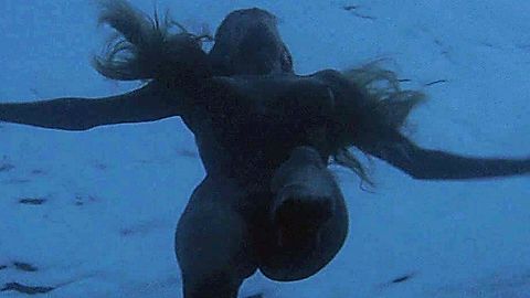 Pic: Susan Backlinie in Jaws (1975)