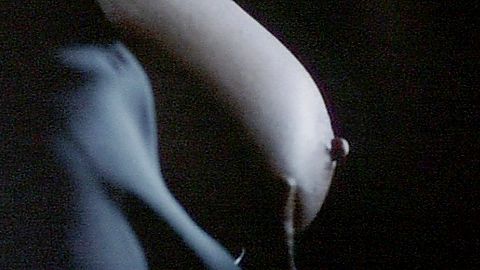 Pic: Bonnie Bedelia in Judicial Consent (1994)