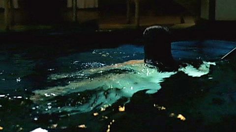 Pic: Juliette Binoche in Jet Lag (2002)