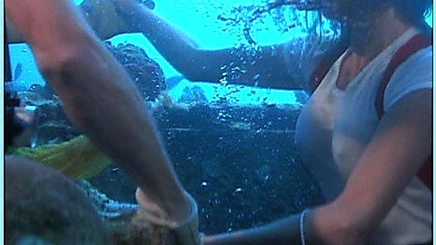 Pic: Jacqueline Bisset in The Deep (1977)