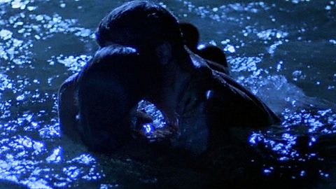 Pic: Jacqueline Bisset in High Season (1987)