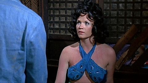 Pic: Lindsay Bloom in Cover Girl Models (1975)