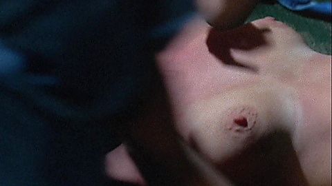 Pic: Lindsay Bloom in Cover Girl Models (1975)