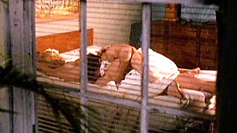 Pic: Lorraine Bracco in Traces of Red (1992)