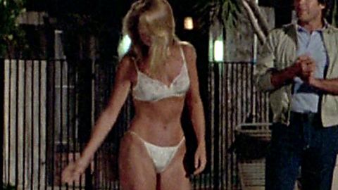 Pic: Christie Brinkley in National Lampoon's Vacation (1983)