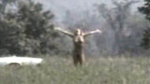 Pic: Dyan Cannon in Child Under a Leaf (1974)