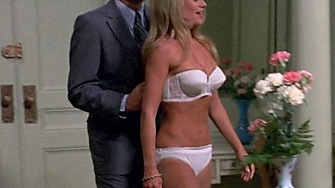 Pic: Dyan Cannon in The Anderson Tapes (1971)