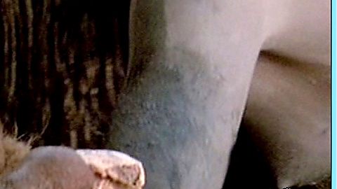 Pic: Rae Dawn Chong in Quest for Fire (1981)