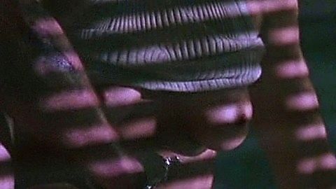 Pic: Cindy Crawford in Fair Game (1995)