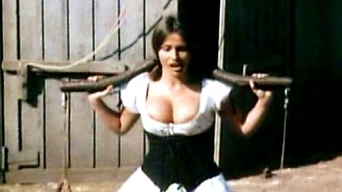 Pic: Uschi Digard in Beneath the Valley of the Ultra-Vixens (1979)