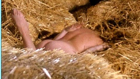 Pic: Uschi Digard in Fantasm Comes Again (1977)