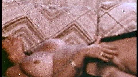 Pic: Uschi Digard in Sleazy 70s Stags (2010)