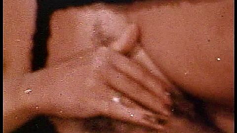 Pic: Uschi Digard in Sleazy 70s Stags (2010)
