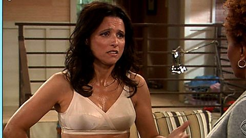Pic: Julia Louis-Dreyfus in The New Adventures of Old Christine (2006)
