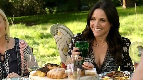 Pic: Julia Louis-Dreyfus in Inside Amy Schumer (2013)