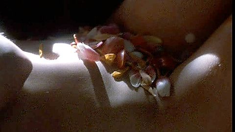 Pic: Angie Everhart in Another 9 1/2 Weeks (1997)