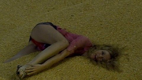 Pic: Heather Graham in At Any Price (2012)