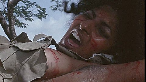 Pic: Pam Grier in Women in Cages (1971)