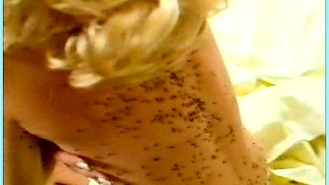 Pic: Suzanne Somers in Ants! (1977)