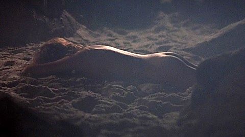 Pic: Michelle Johnson in Blame It on Rio (1984)