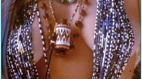 Pic: Michelle Johnson in Body Shot (1993)
