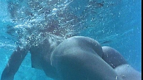 Pic: Sylvia Kristel in Emmanuelle (1974)
