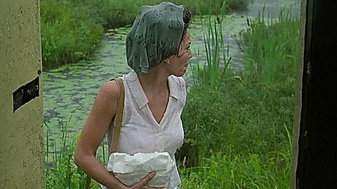 Pic: Diane Lane in A Walk on the Moon (1999)