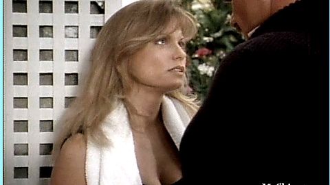 Pic: Kay Lenz in Physical Evidence (1989)