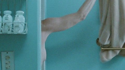 Pic: Melissa Leo in Welcome to the Rileys (2010)