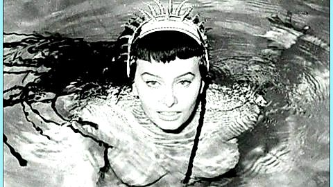 Pic: Sophia Loren in Looking for Sophia (2005)