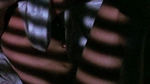 Pic: Goldie Hawn in Bird on a Wire (1990)