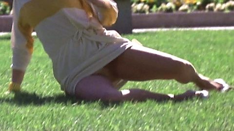 Pic: Goldie Hawn in Protocol (1984)