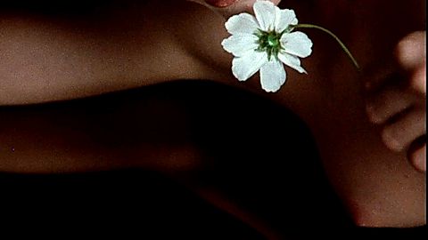 Pic: Mariel Hemingway in Star 80 (1983)