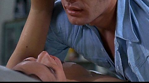Pic: Barbara Hershey in The Pursuit of Happiness (1971)