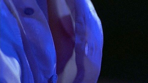 Pic: Lauren Holly in Band of the Hand (1986)