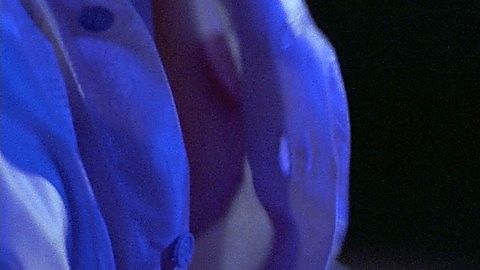 Pic: Lauren Holly in Band of the Hand (1986)