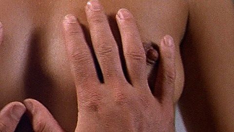 Pic: Lauren Hutton in American Gigolo (1980)