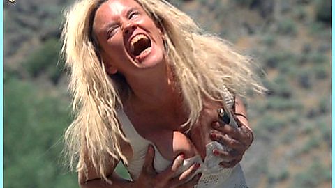 Pic: Jenny McCarthy in Wieners (2008)