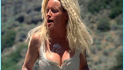 Pic: Jenny McCarthy in Wieners (2008)