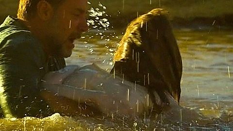 Pic: Jacqueline McKenzie in The Water Diviner (2014)
