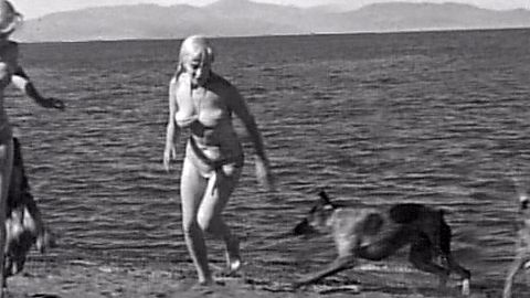 Pic: Marilyn Monroe in The Misfits (1961)